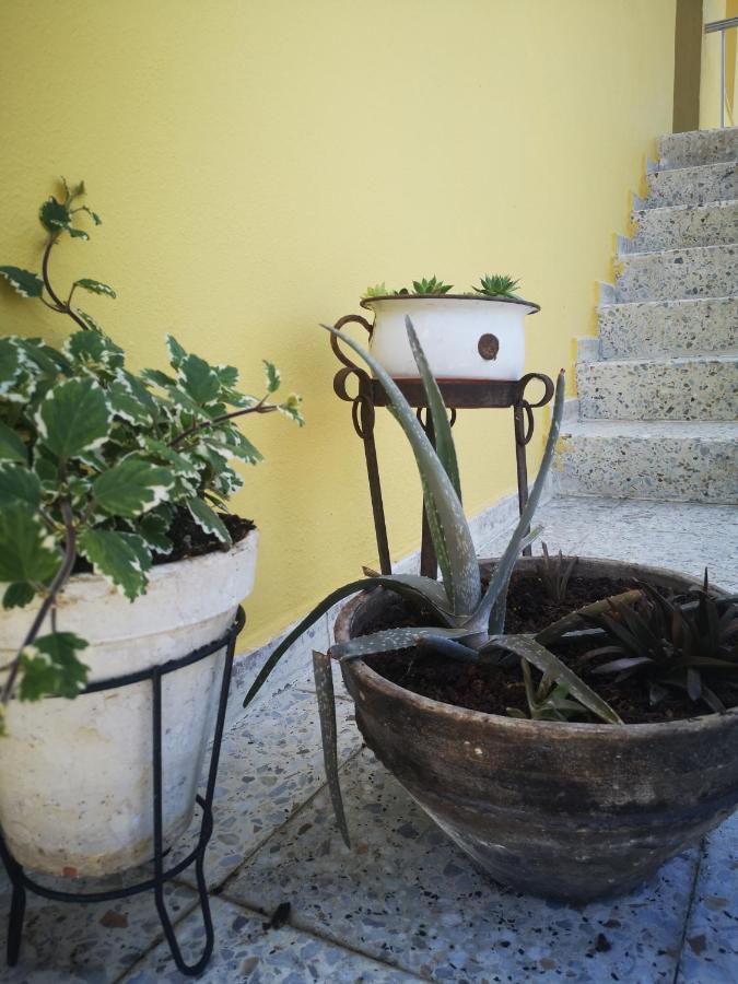 A Maquia Do Pousavedra Sober المظهر الخارجي الصورة